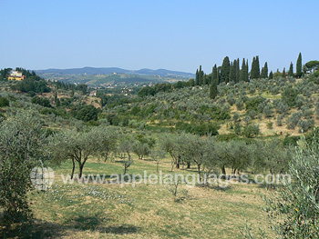 Florence est entourée de beaux paysages toscans !