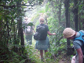 Excursion dans la jungle