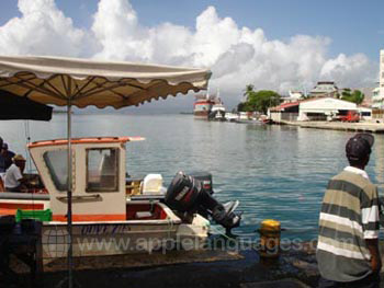 Pointe-à-Pitre, à 30 minutes de bus