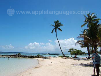 Une autre belle journée en Guadeloupe !