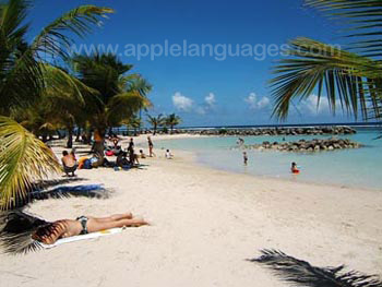 Cette plage n'est qu'à 50 mètres de notre école !