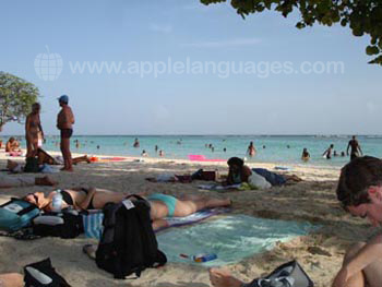 Des étudiants à la plage