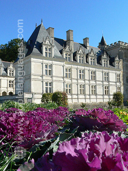 Le proche Château de Villandry