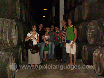 Visite d'une cave à vins