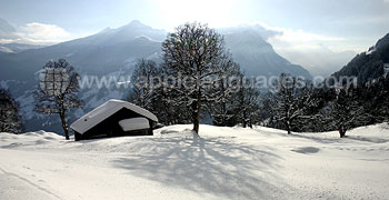 Les belles Alpes suisses en hiver !
