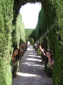 À la découverte des jardins pendant une excursion