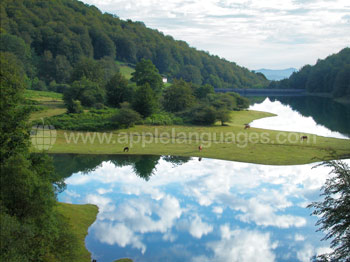 Belle campagne aux alentours