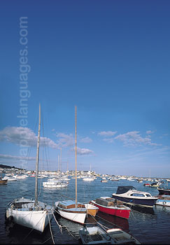 Le port de Teignmouth