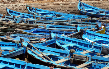 Des bateaux de pêche dans le port