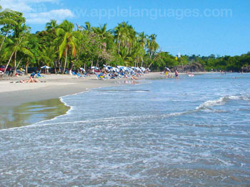 Les éblouissantes plages de sable blanc de Manuel Antonio
