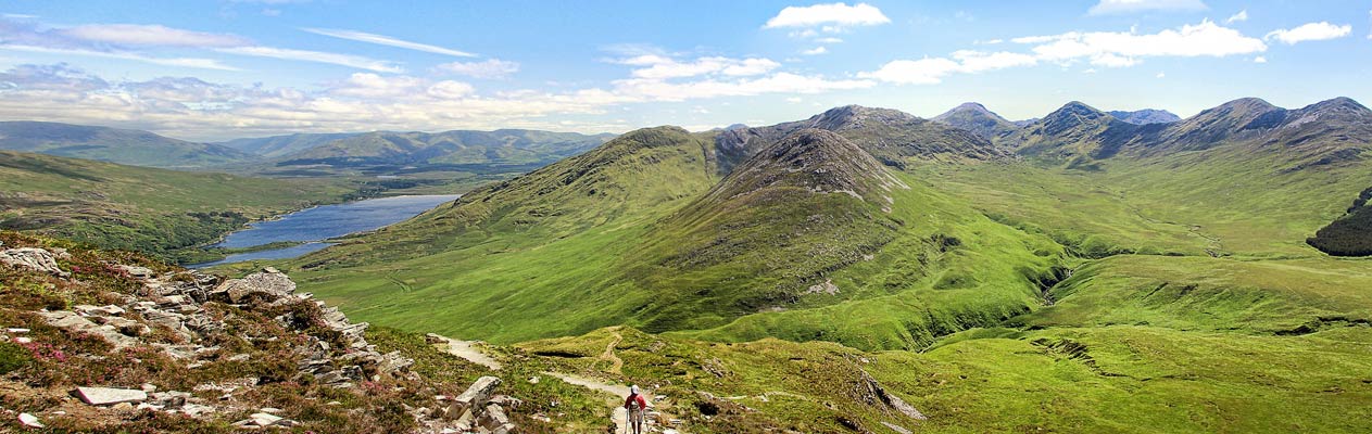 Campagne irlandaise