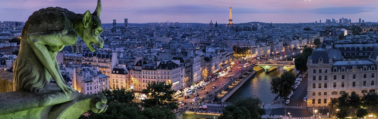 Gargouille surplombant Paris la nuit