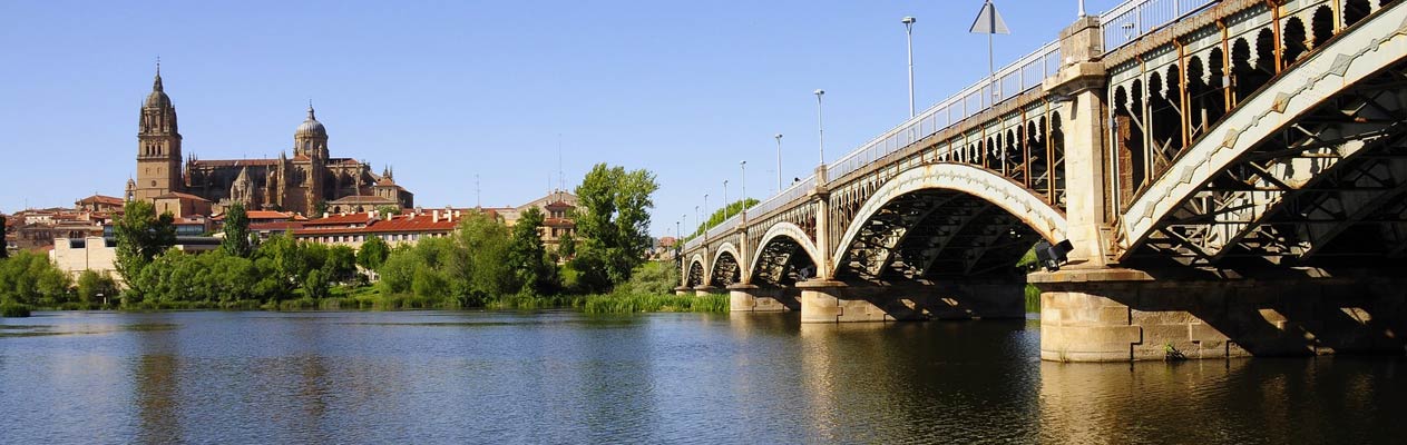 La nouvelle cathédrale et le pont Enrique Estevan à Salamanque