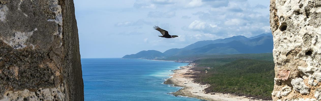 Rapace survolant Santiago de Cuba